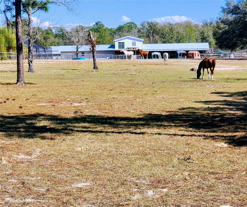 lot 7 SE 136TH TERRACE Dunnellon, FL 34431