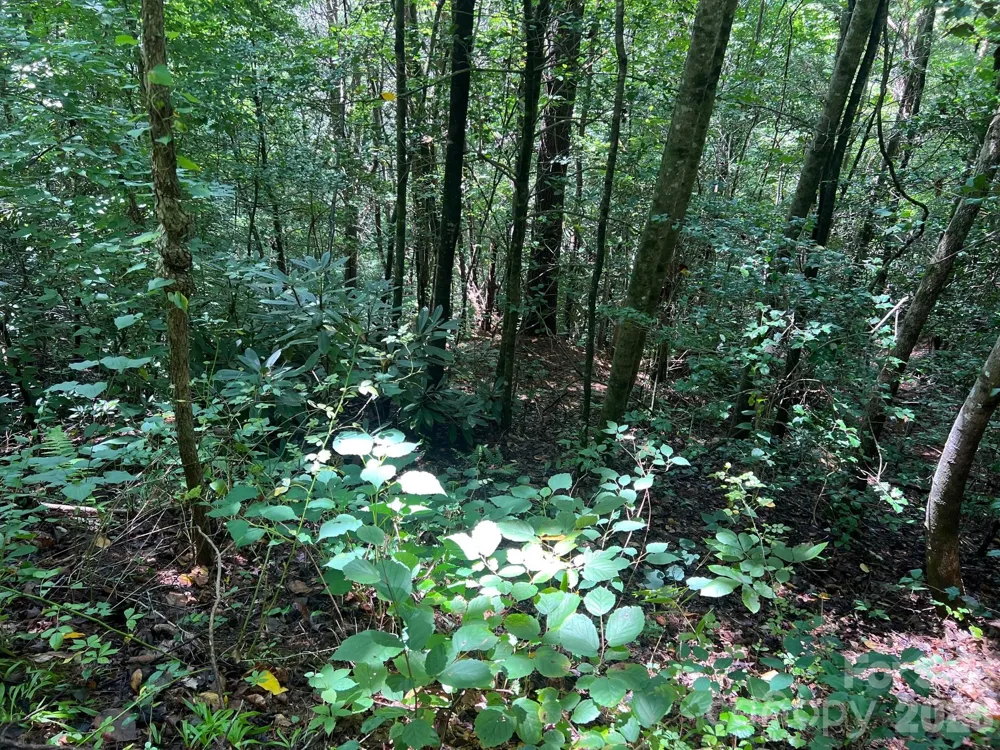0 Old Johns River Road Collettsville, NC 28611