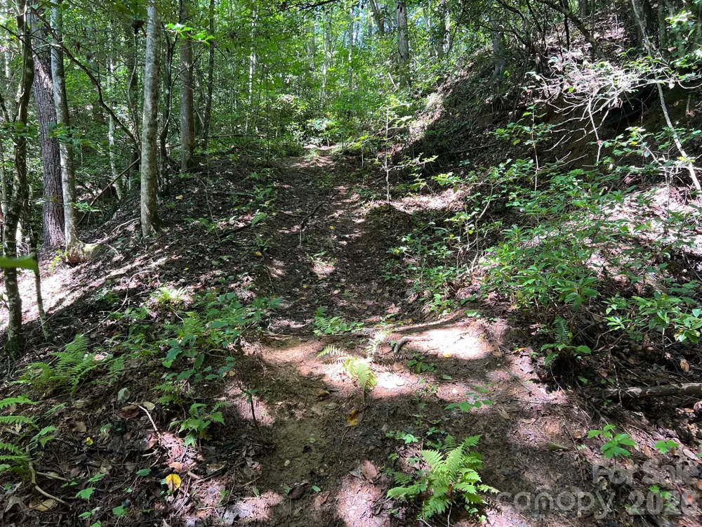 0 Old Johns River Road Collettsville, NC 28611