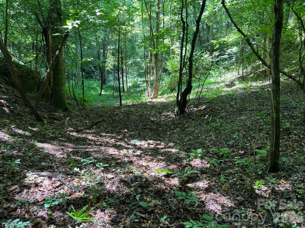 0 Old Johns River Road Collettsville, NC 28611