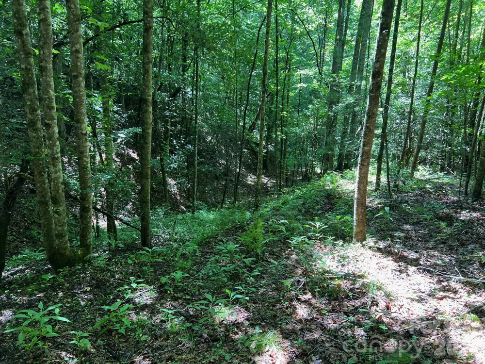 0 Old Johns River Road Collettsville, NC 28611