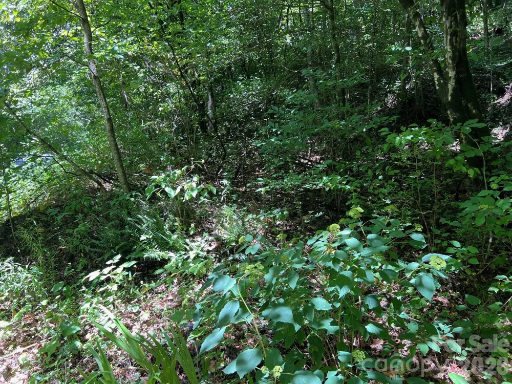 0 Old Johns River Road Collettsville, NC 28611