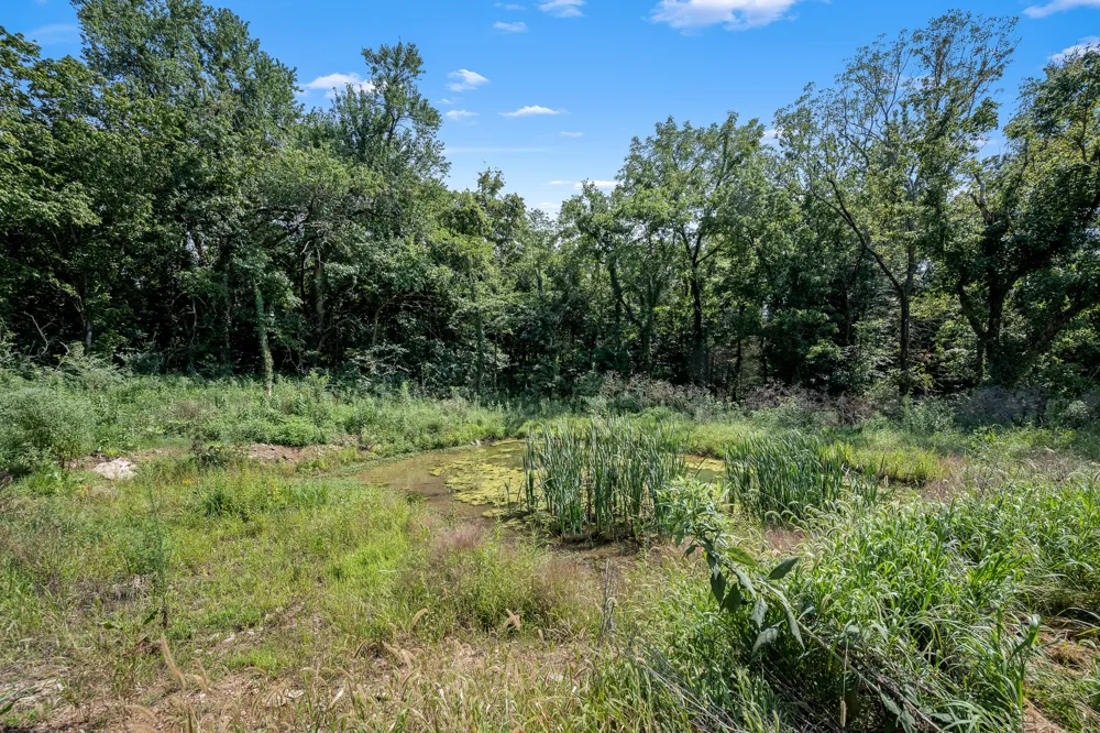 206 Hickerson Rd Wartrace, TN 37183