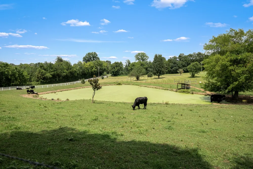 206 Hickerson Rd Wartrace, TN 37183