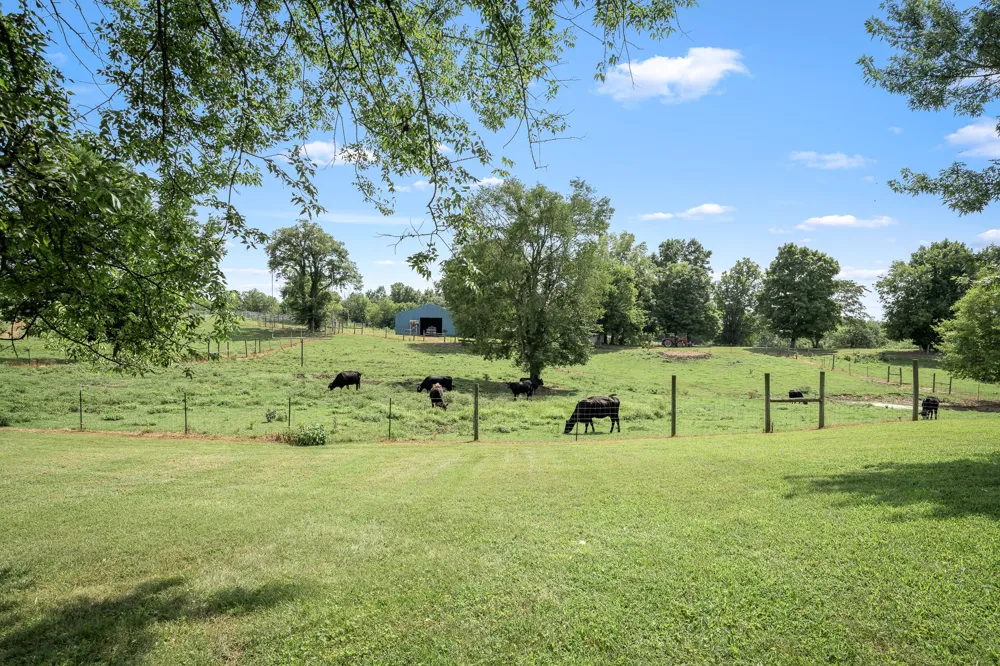206 Hickerson Rd Wartrace, TN 37183