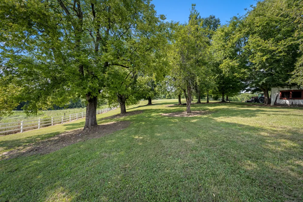206 Hickerson Rd Wartrace, TN 37183