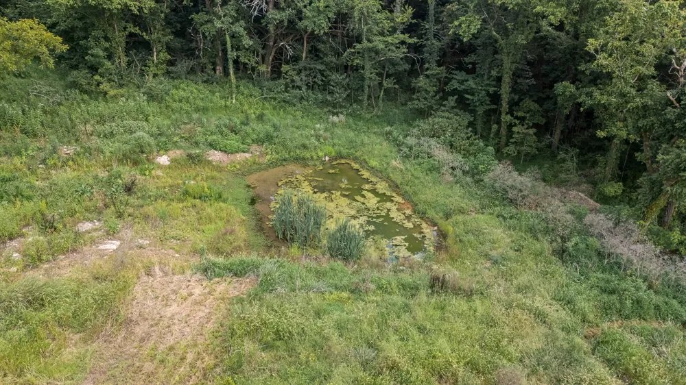 206 Hickerson Rd Wartrace, TN 37183