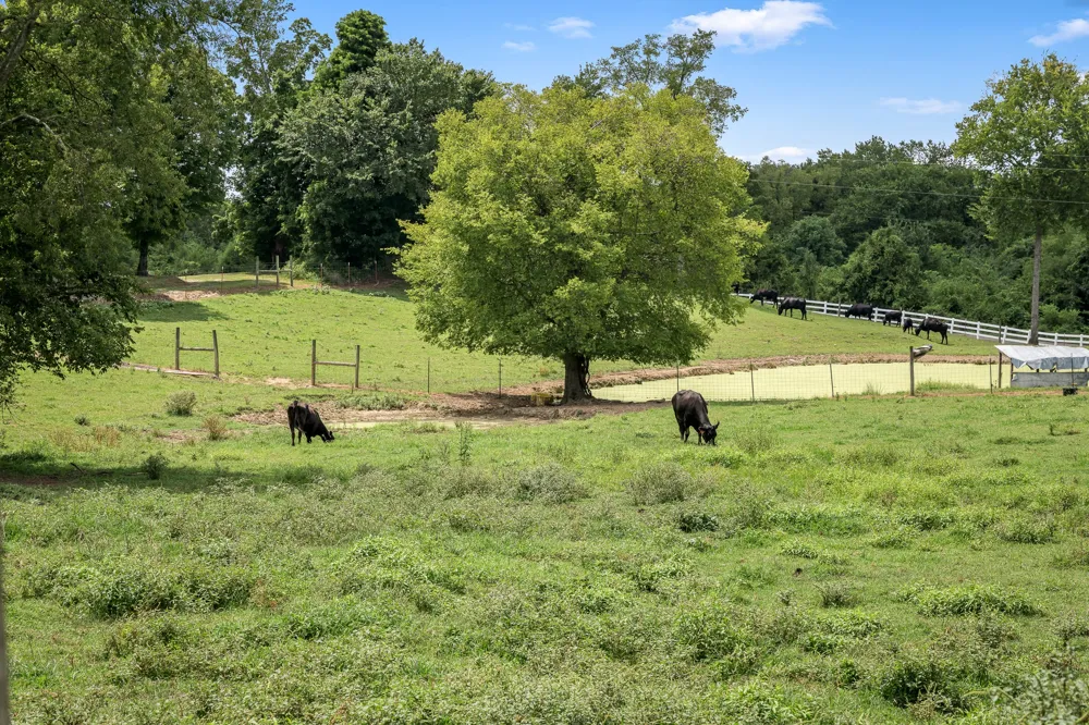 206 Hickerson Rd Wartrace, TN 37183