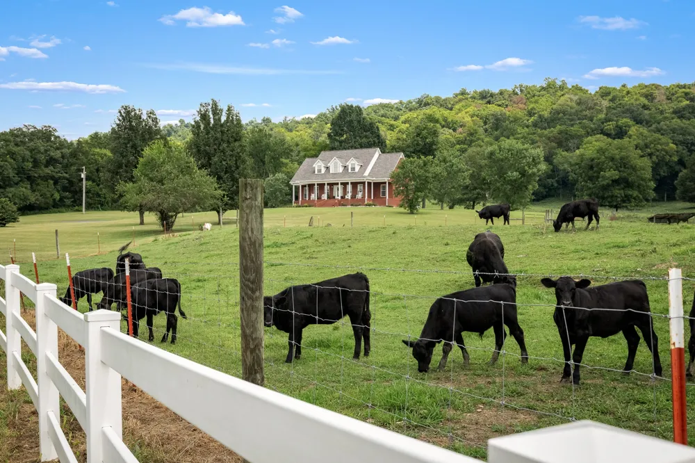 206 Hickerson Rd Wartrace, TN 37183