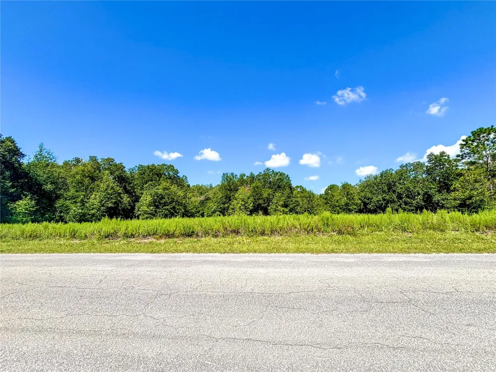 TBD SW 132ND AVENUE Dunnellon, FL 34432
