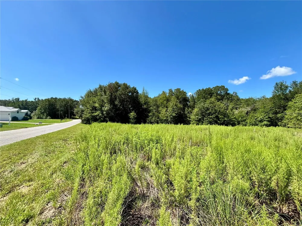 TBD SW 132ND AVENUE Dunnellon, FL 34432