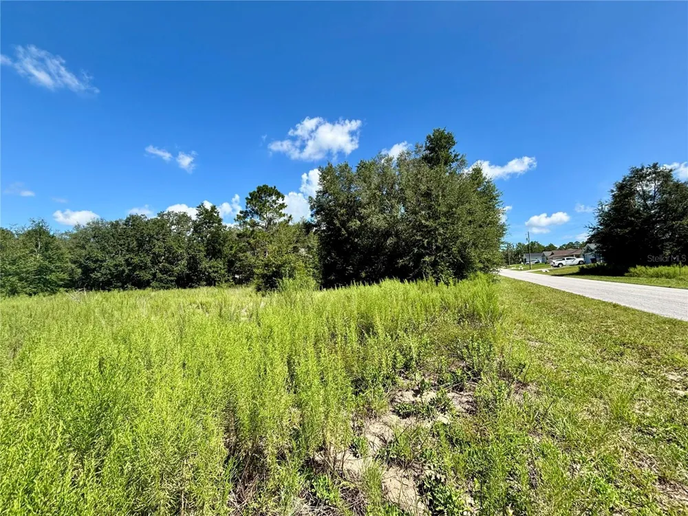 TBD SW 132ND AVENUE Dunnellon, FL 34432