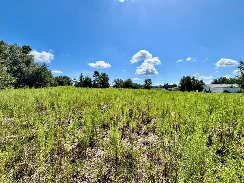 TBD SW 132ND AVENUE Dunnellon, FL 34432