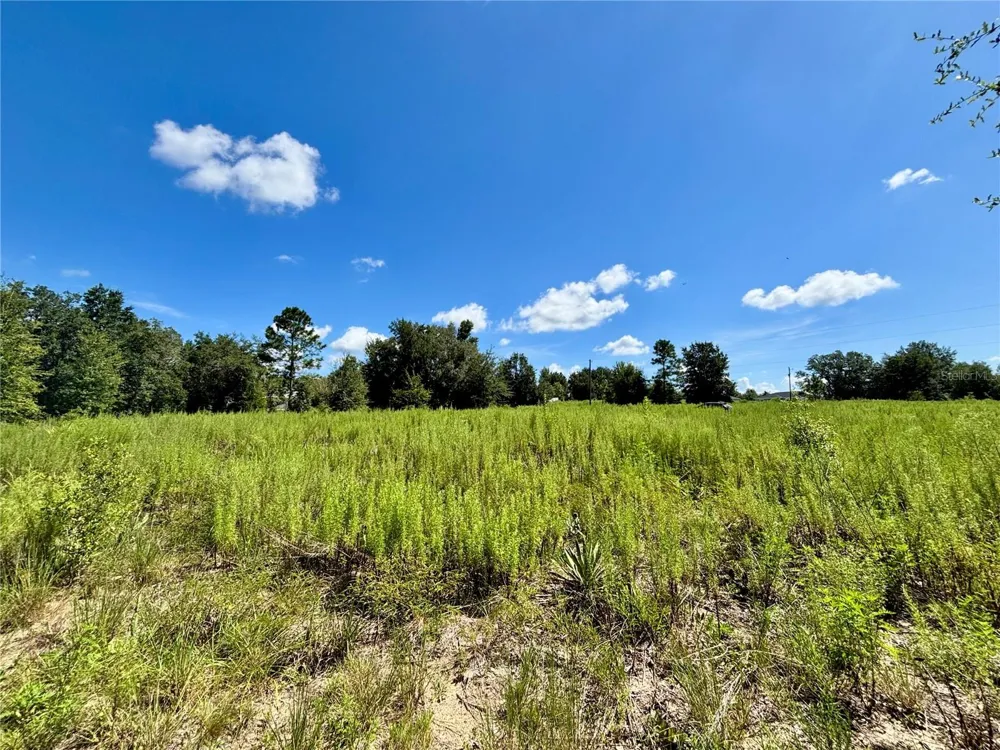 TBD SW 132ND AVENUE Dunnellon, FL 34432