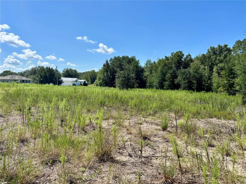 TBD SW 132ND AVENUE Dunnellon, FL 34432