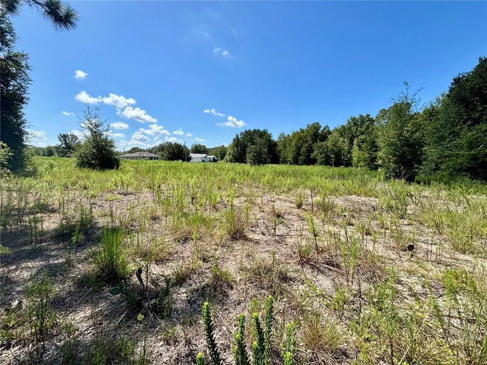 TBD SW 132ND AVENUE Dunnellon, FL 34432