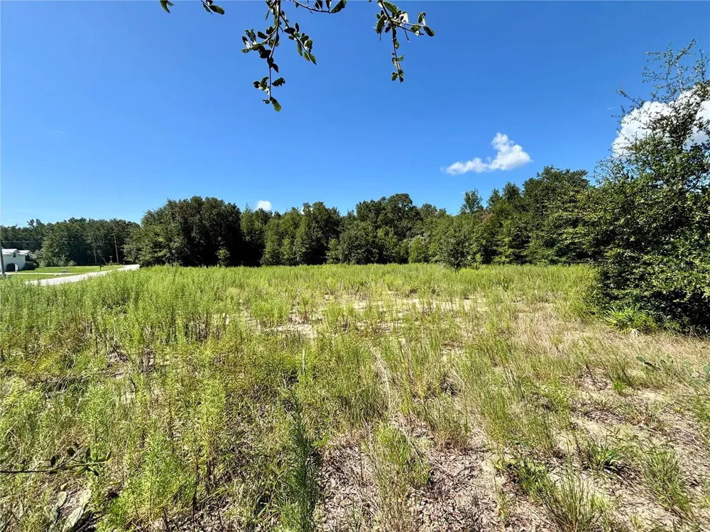 TBD SW 132ND AVENUE Dunnellon, FL 34432