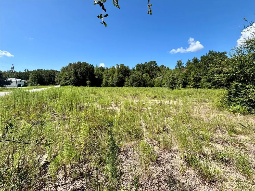 TBD SW 132ND AVENUE Dunnellon, FL 34432