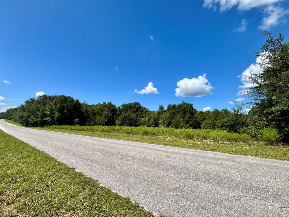 TBD SW 132ND AVENUE Dunnellon, FL 34432