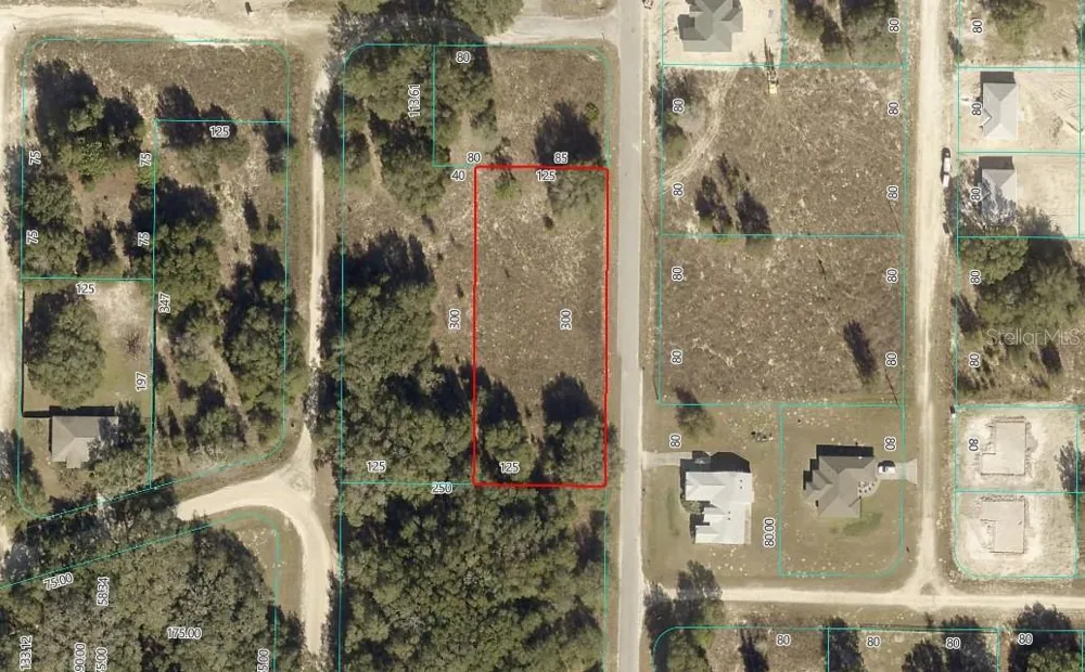 TBD SW 132ND AVENUE Dunnellon, FL 34432