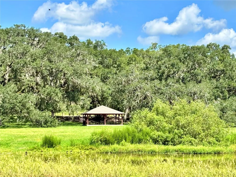 TBD SW 132ND AVENUE Dunnellon, FL 34432