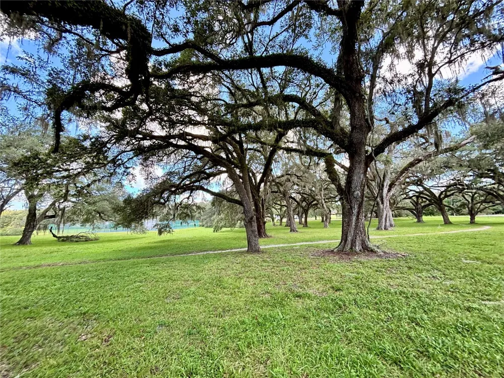 TBD SW 132ND AVENUE Dunnellon, FL 34432