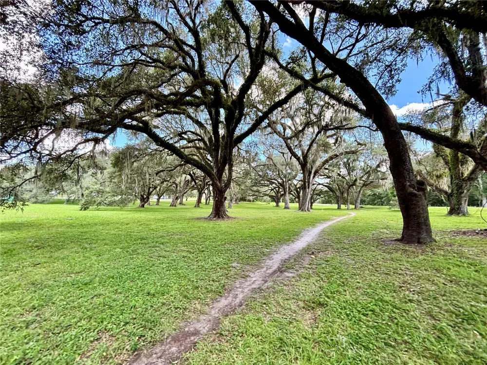 TBD SW 132ND AVENUE Dunnellon, FL 34432