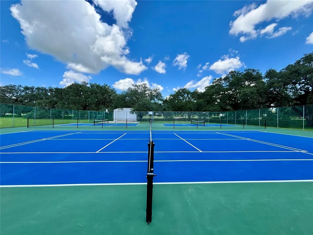TBD SW 132ND AVENUE Dunnellon, FL 34432