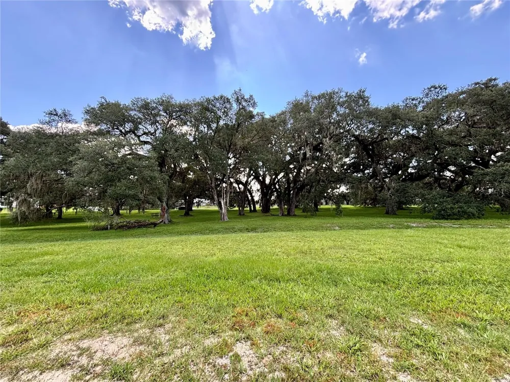 TBD SW 132ND AVENUE Dunnellon, FL 34432
