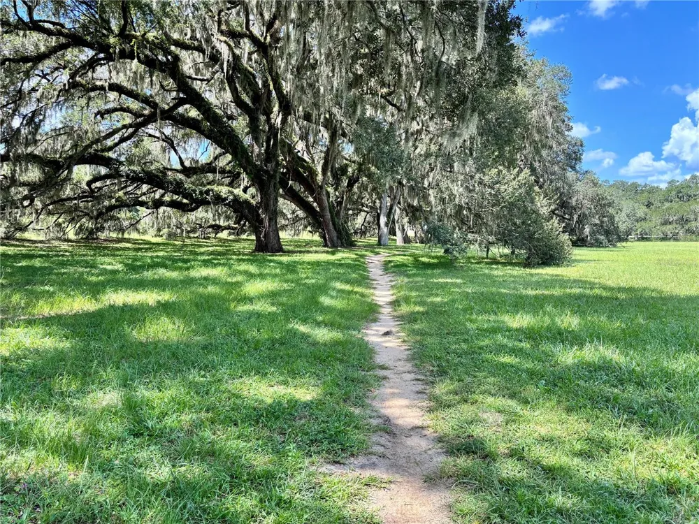 TBD SW 132ND AVENUE Dunnellon, FL 34432