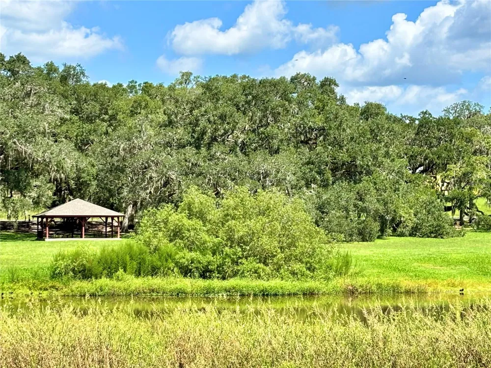 TBD SW 132ND AVENUE Dunnellon, FL 34432