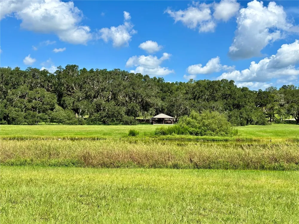 TBD SW 132ND AVENUE Dunnellon, FL 34432