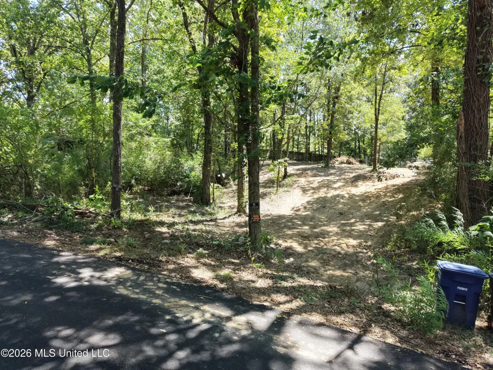 Dogwood Drive Ashland, MS 38603