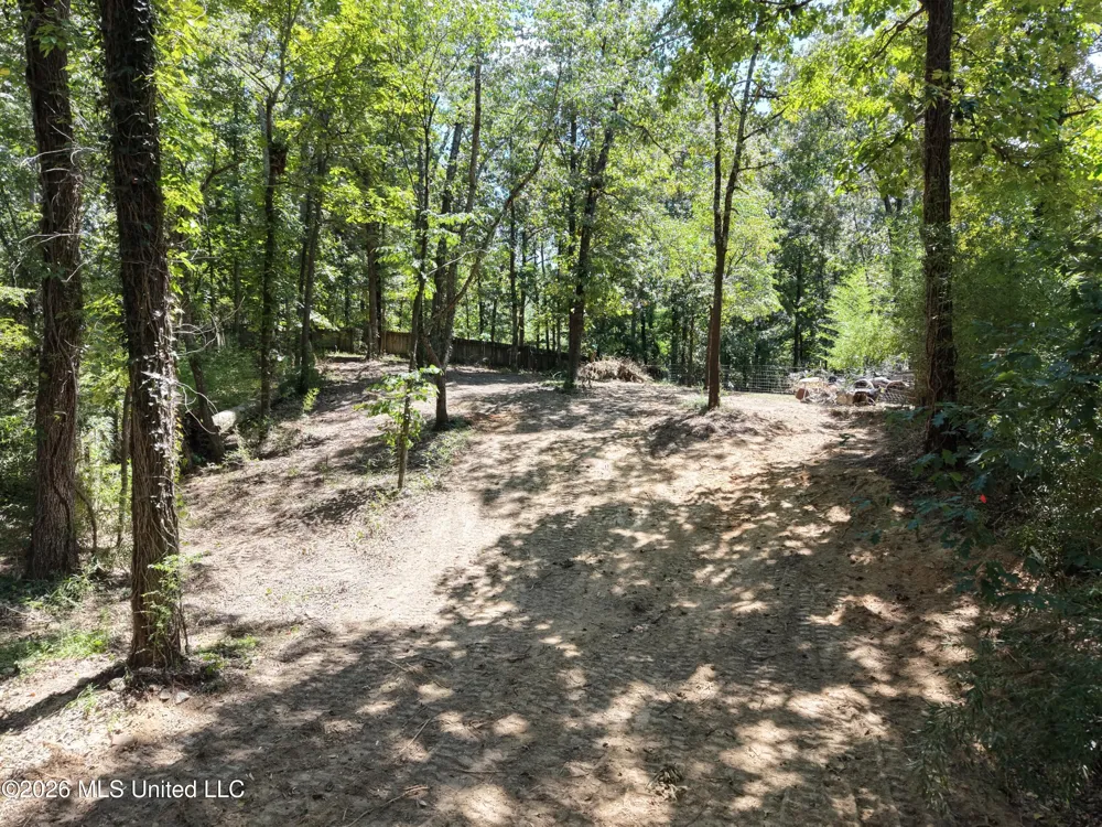 Dogwood Drive Ashland, MS 38603