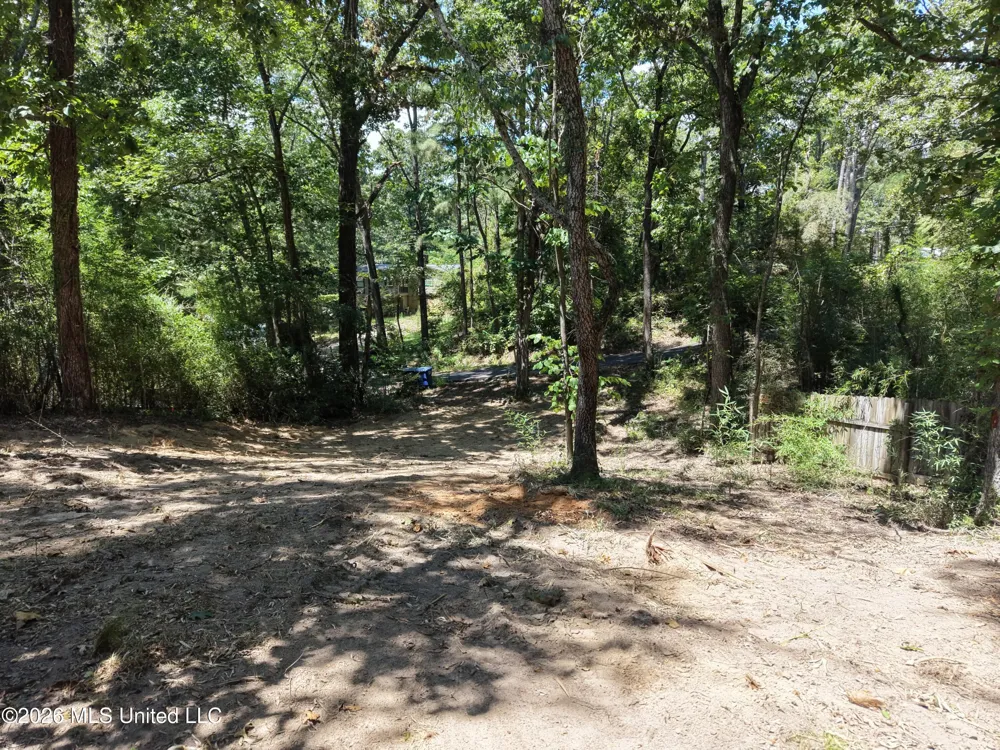 Dogwood Drive Ashland, MS 38603