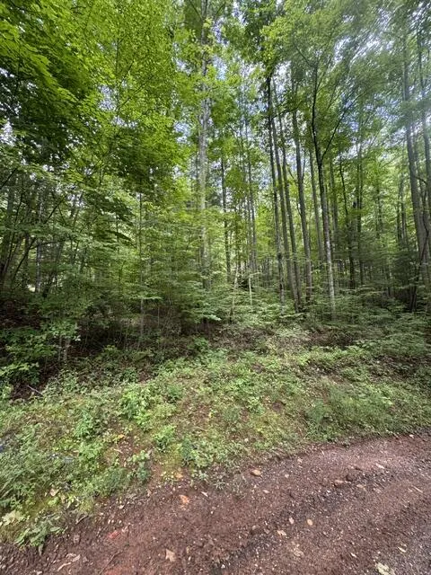Hemlock Falls Drive