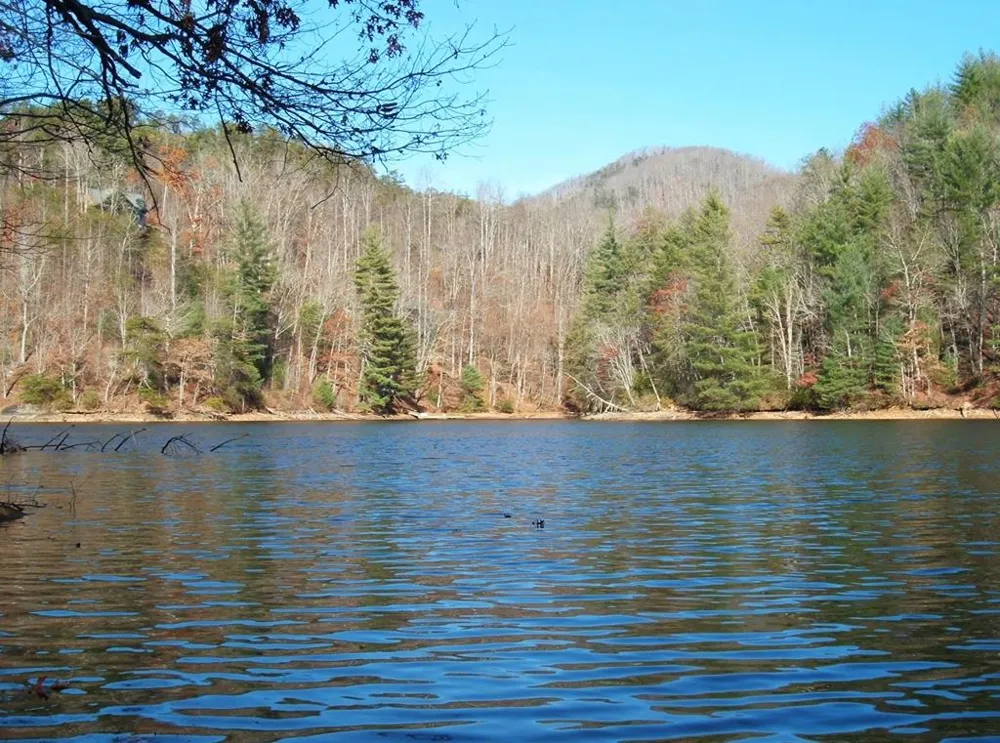 CANADA ROAD Tuckasegee, NC 28783