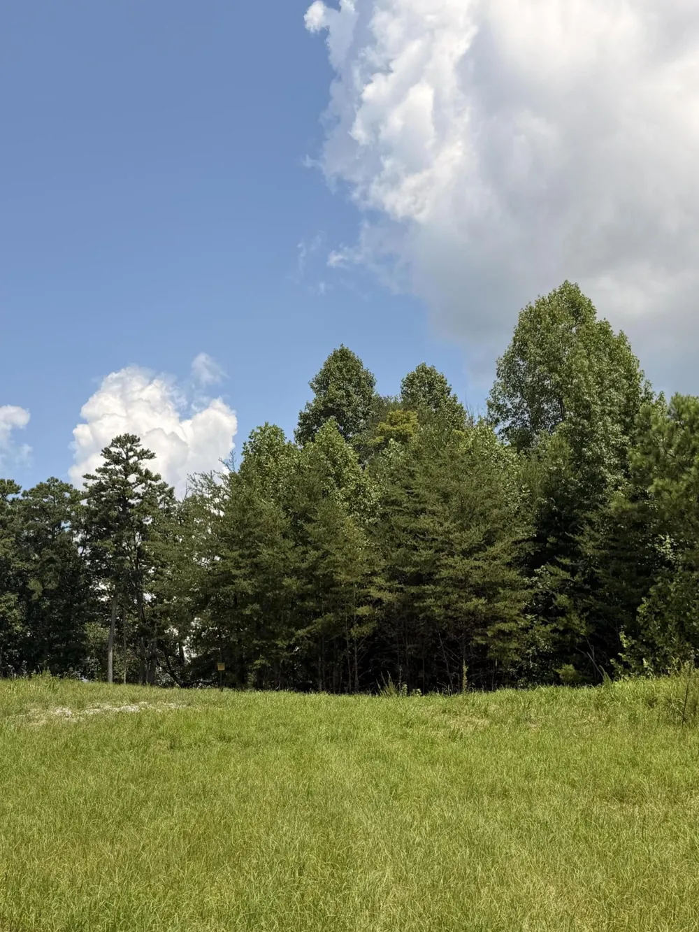 12 Old Harris Turnpike Road South Pittsburg, TN 37380