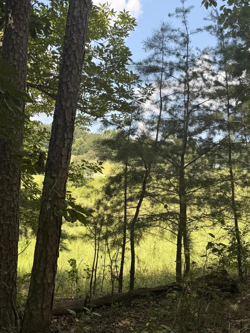12 Old Harris Turnpike Road South Pittsburg, TN 37380