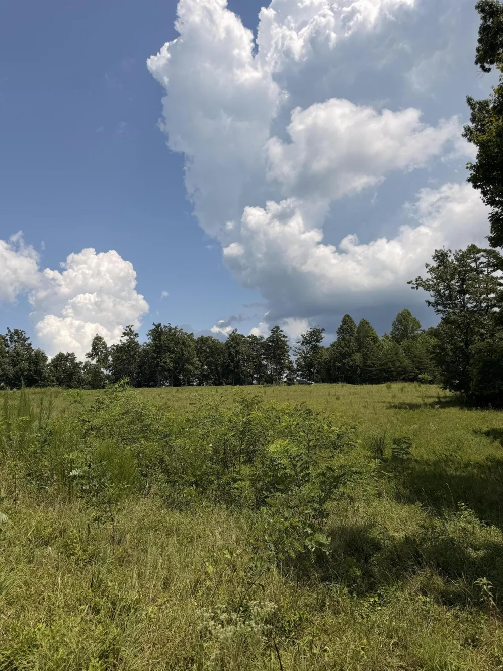12 Old Harris Turnpike Road South Pittsburg, TN 37380