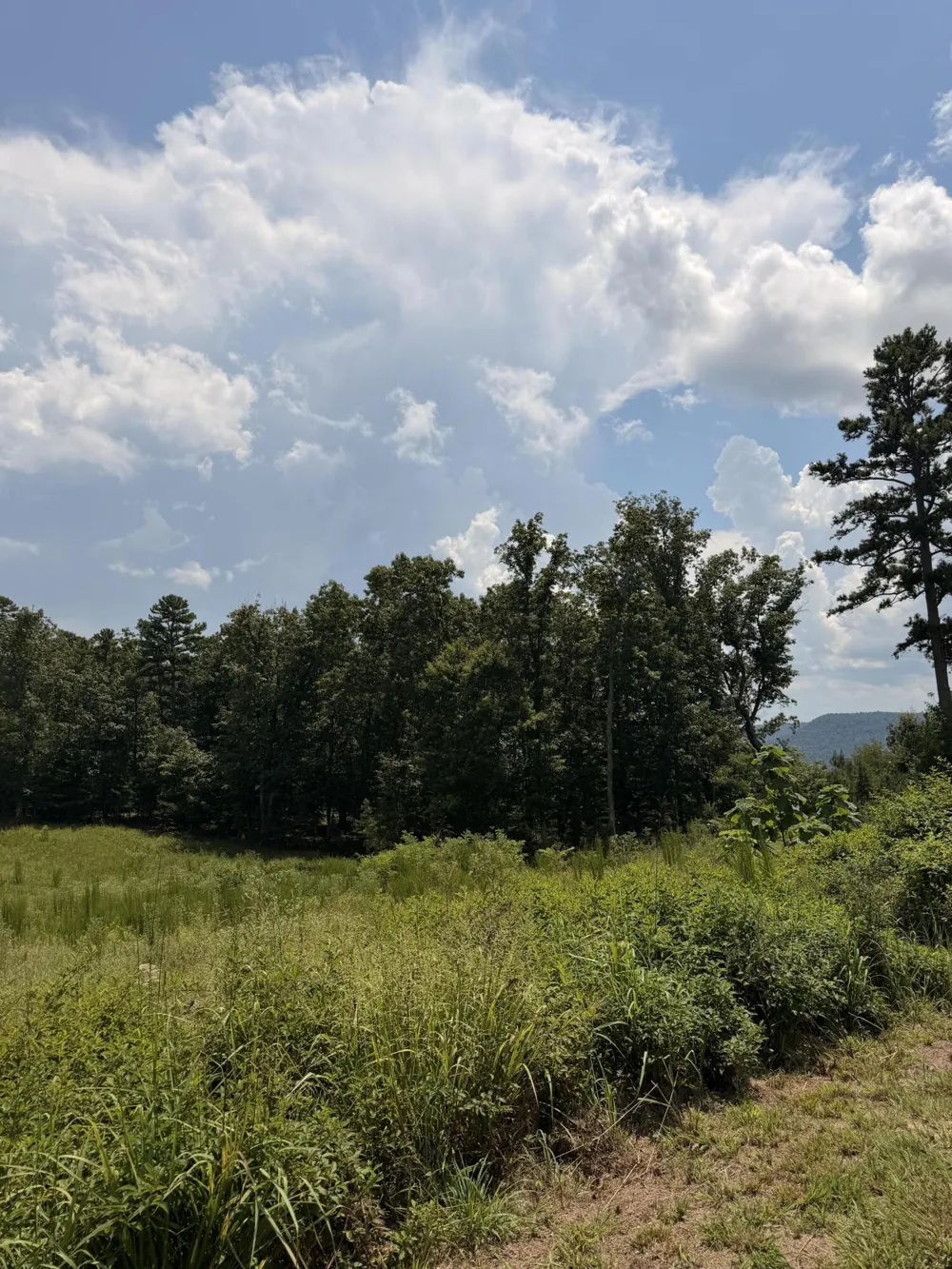 12 Old Harris Turnpike Road South Pittsburg, TN 37380