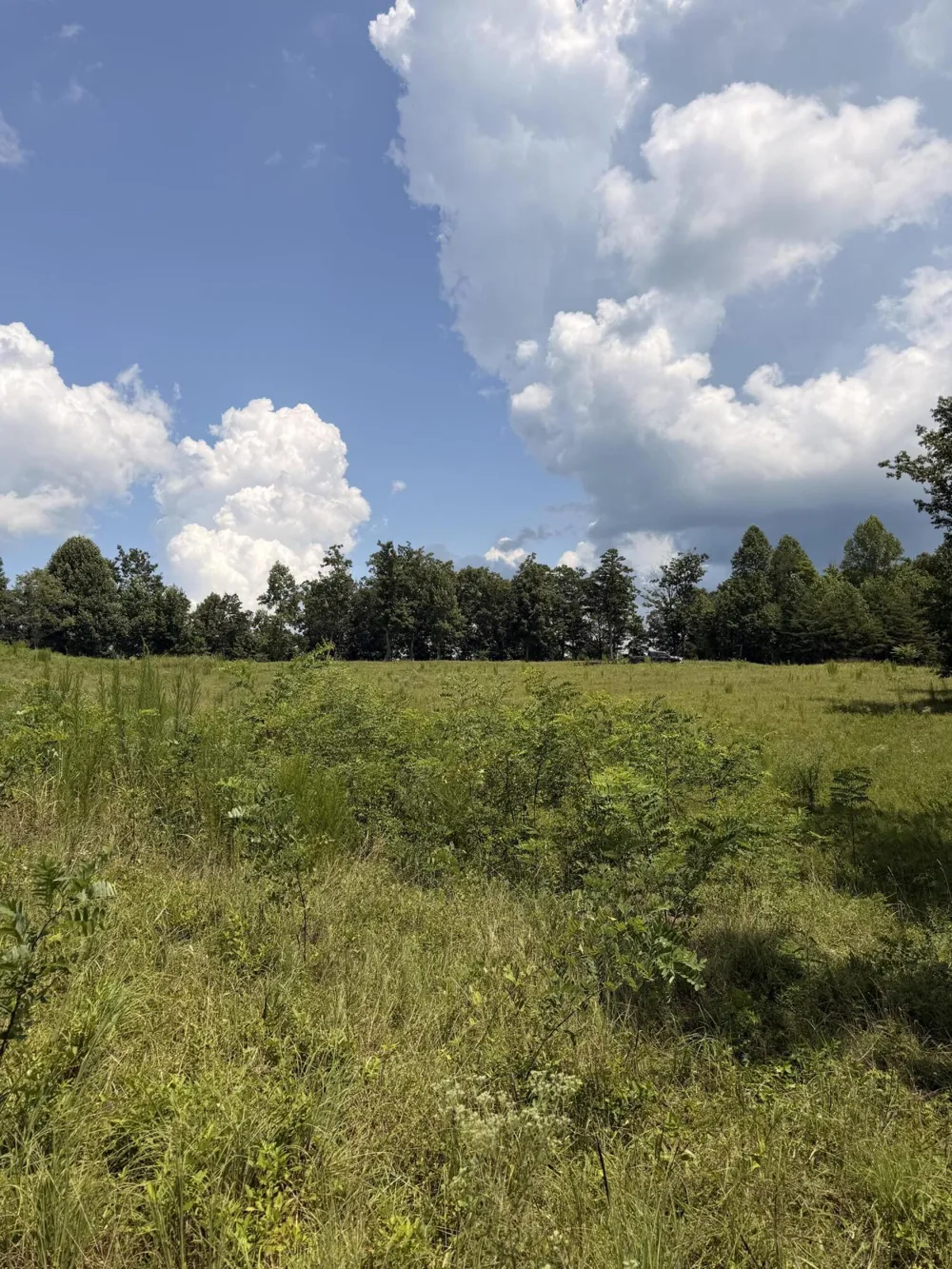 12 Old Harris Turnpike Road South Pittsburg, TN 37380