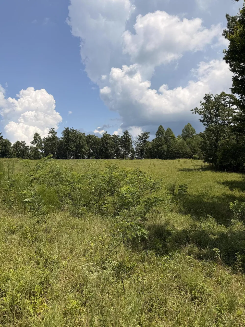 12 Old Harris Turnpike Road South Pittsburg, TN 37380