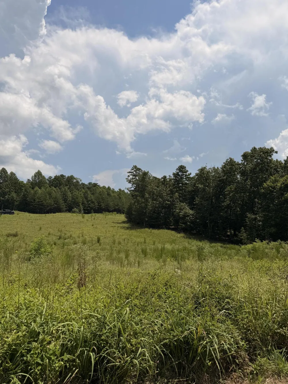 12 Old Harris Turnpike Road South Pittsburg, TN 37380