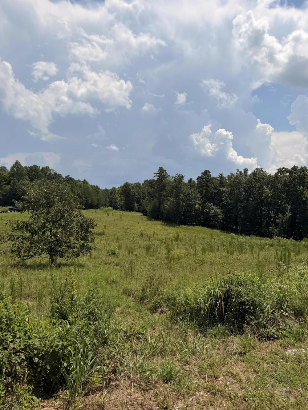 12 Old Harris Turnpike Road South Pittsburg, TN 37380