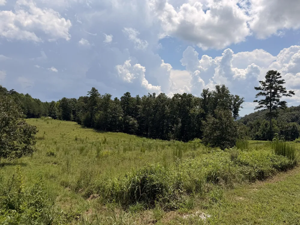 12 Old Harris Turnpike Road South Pittsburg, TN 37380