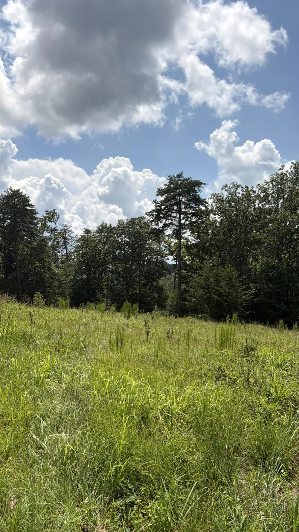 12 Old Harris Turnpike Road South Pittsburg, TN 37380