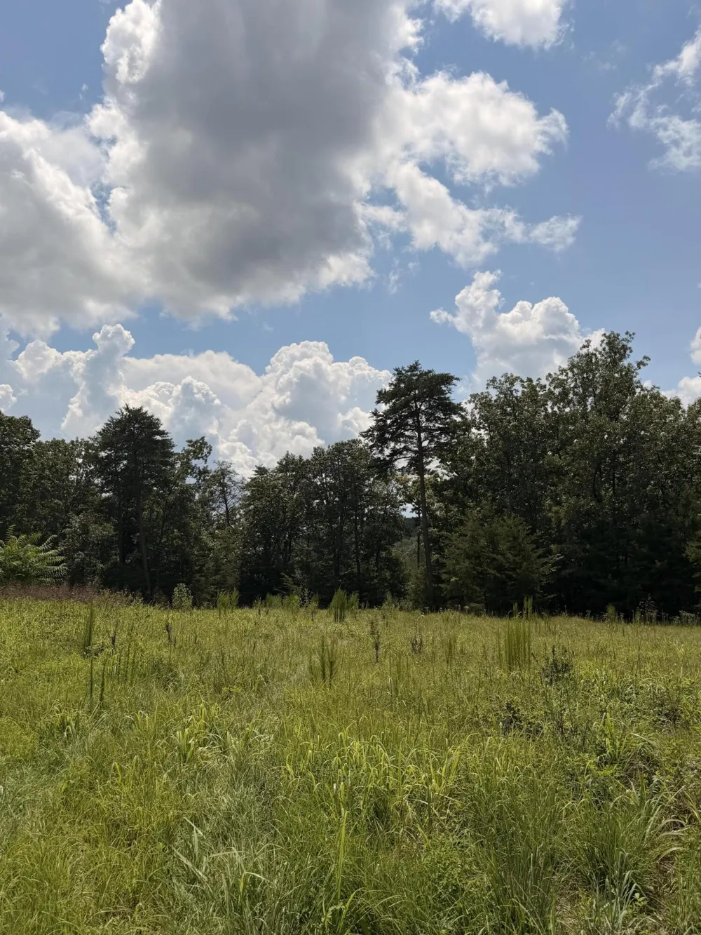 12 Old Harris Turnpike Road South Pittsburg, TN 37380