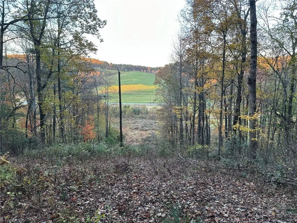 00 Balls Mill Road North Wilkesboro, NC 28659