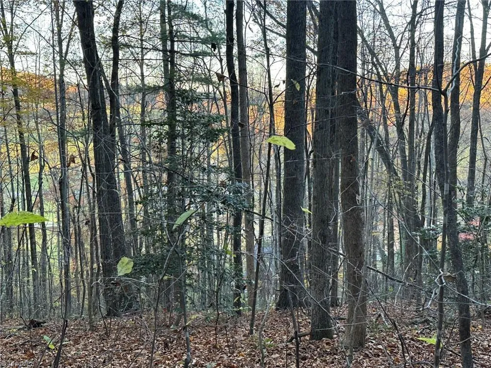 00 Balls Mill Road North Wilkesboro, NC 28659
